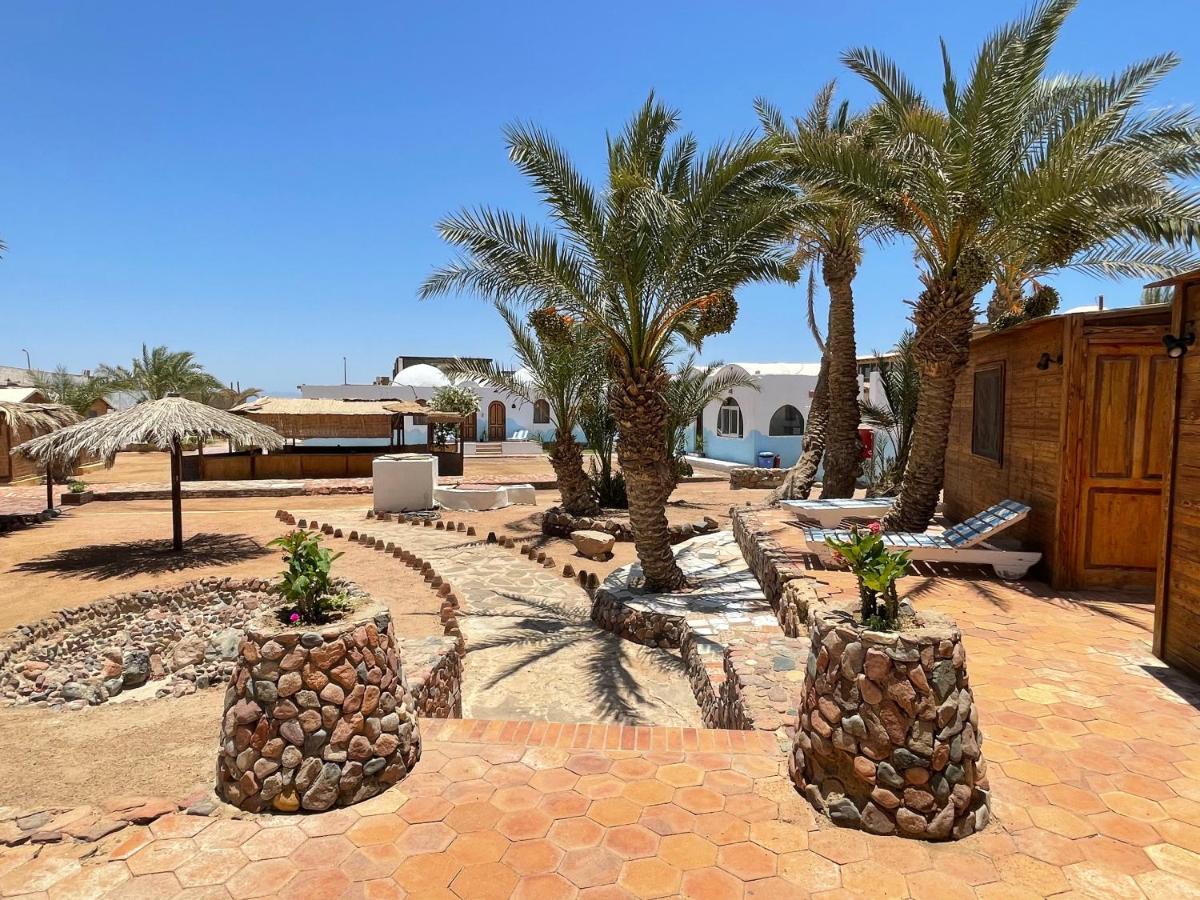 Dolphin Camp Hotel Dahab Bagian luar foto