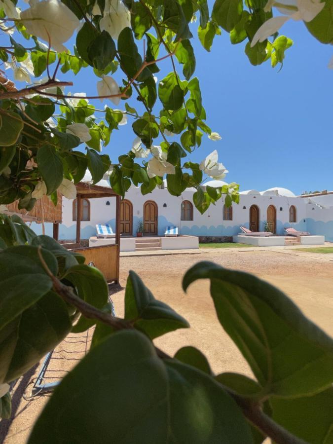 Dolphin Camp Hotel Dahab Bagian luar foto