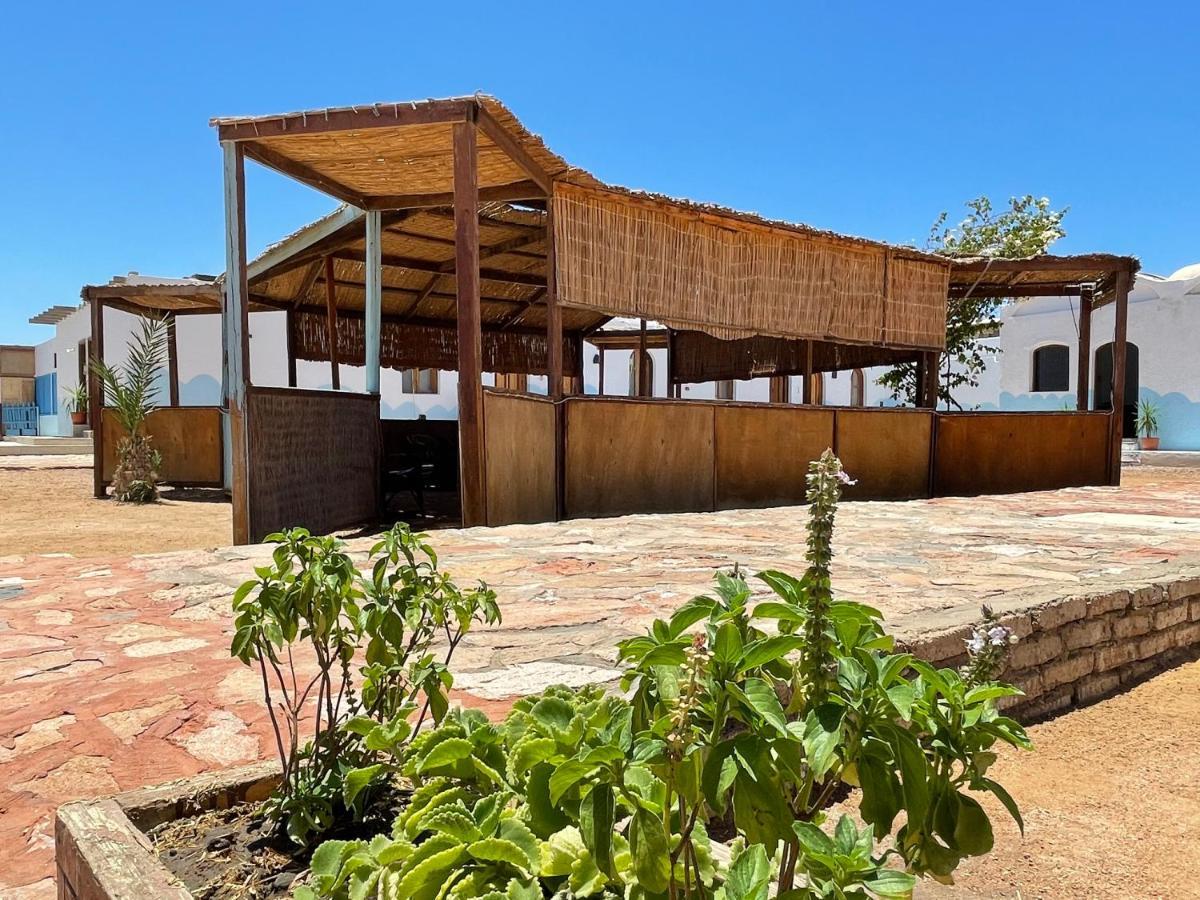 Dolphin Camp Hotel Dahab Bagian luar foto