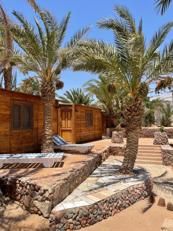 Dolphin Camp Hotel Dahab Bagian luar foto