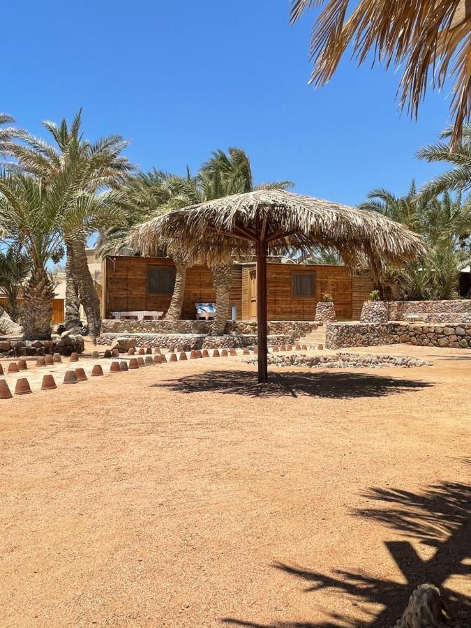 Dolphin Camp Hotel Dahab Bagian luar foto