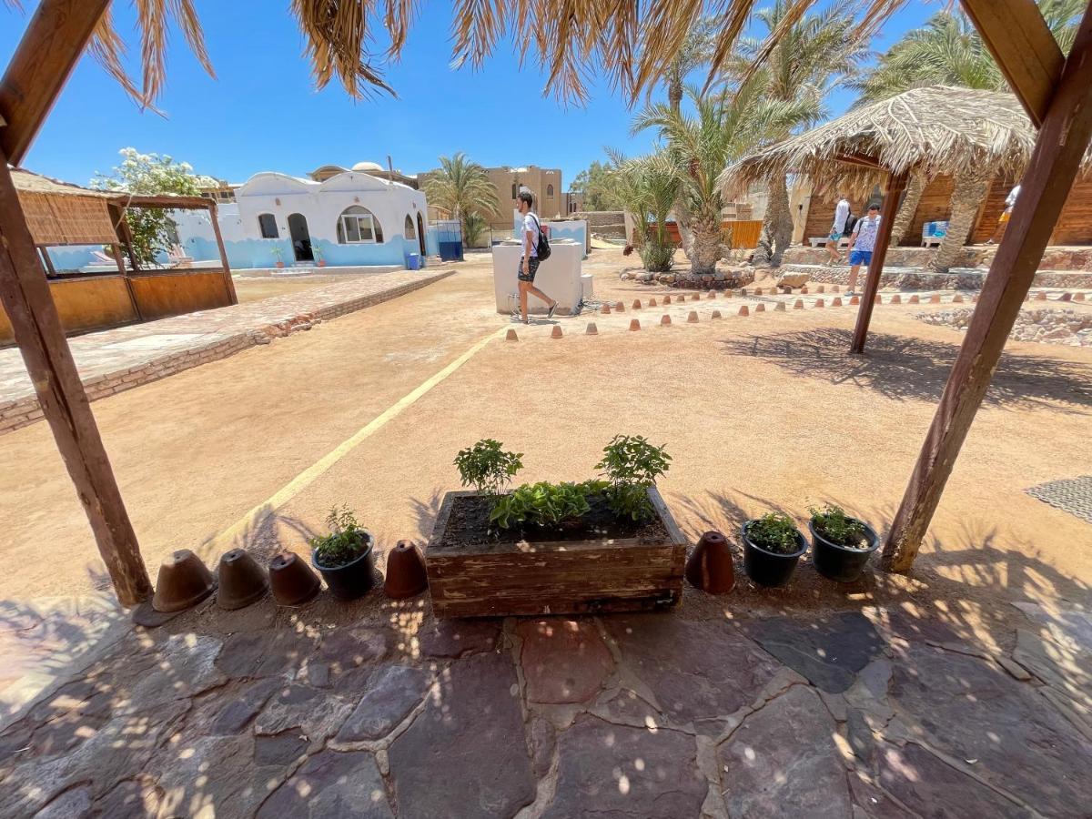 Dolphin Camp Hotel Dahab Bagian luar foto
