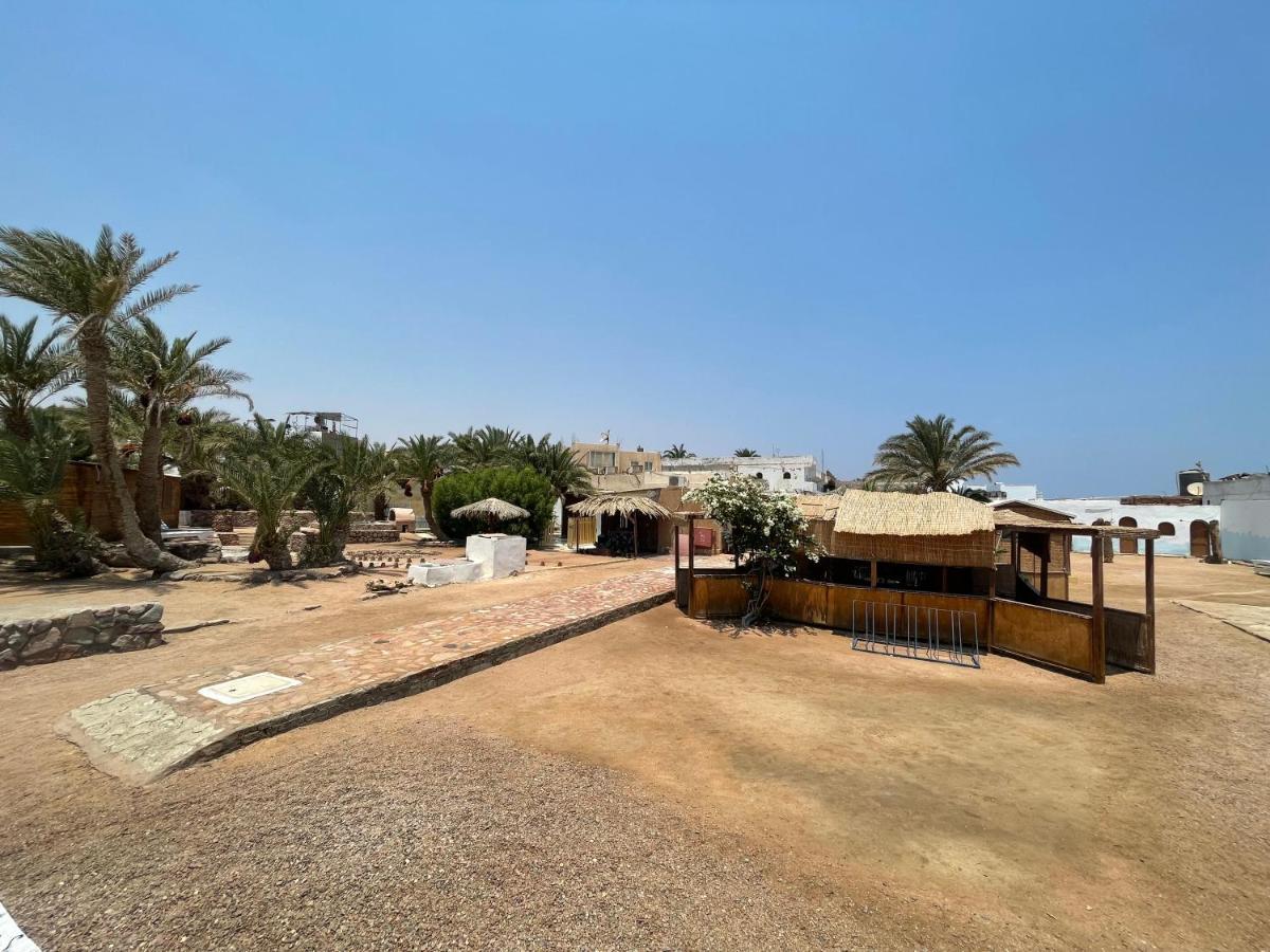 Dolphin Camp Hotel Dahab Bagian luar foto