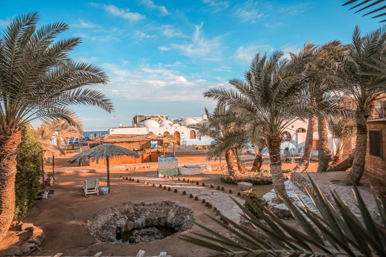 Dolphin Camp Hotel Dahab Bagian luar foto