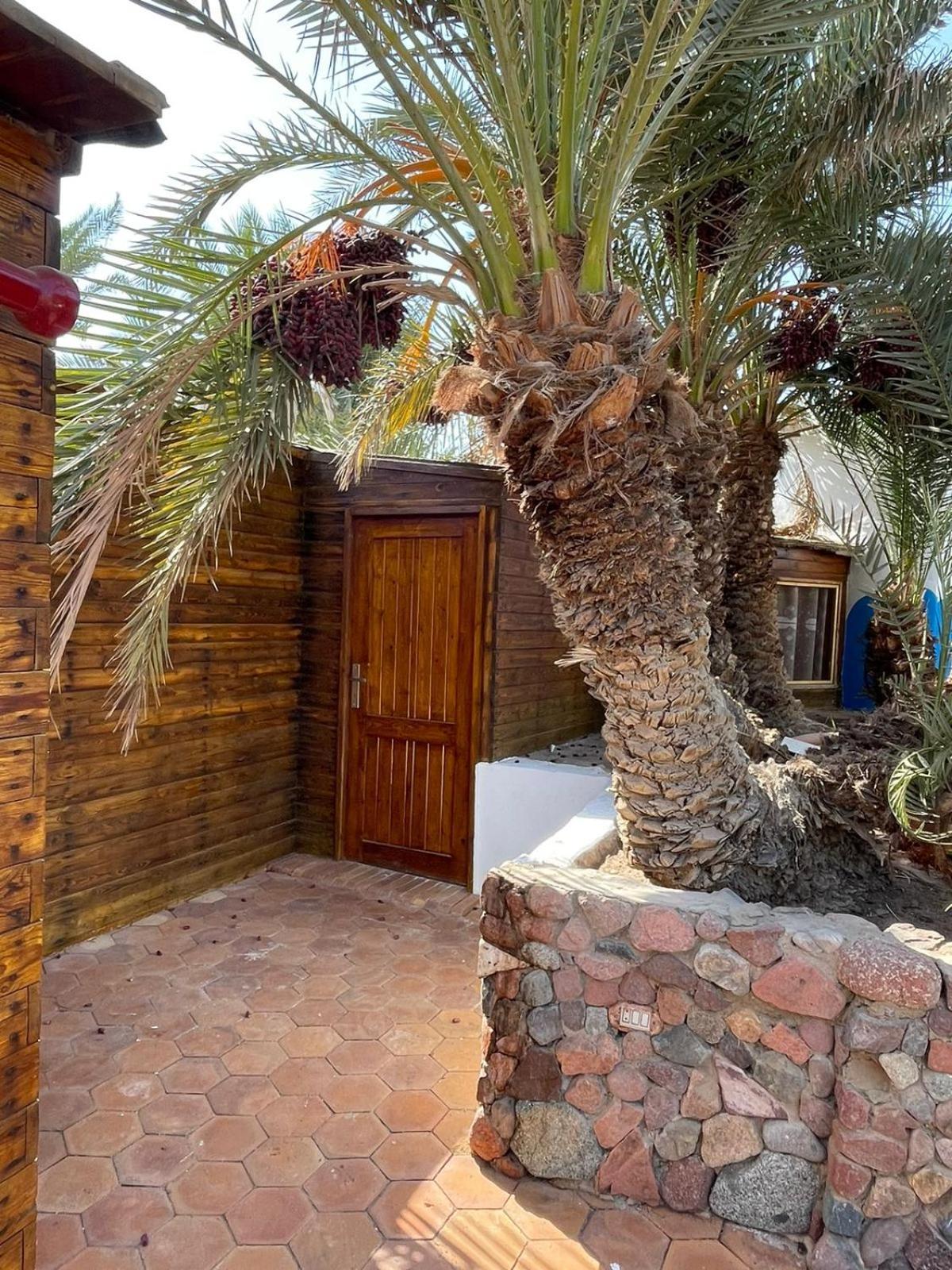 Dolphin Camp Hotel Dahab Bagian luar foto