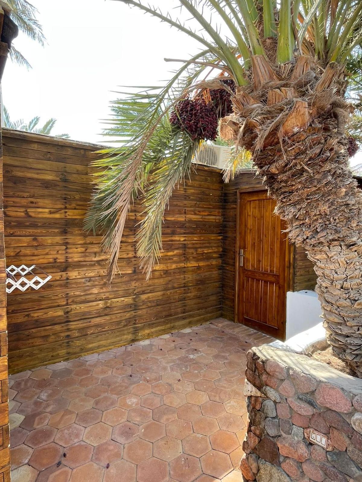 Dolphin Camp Hotel Dahab Bagian luar foto